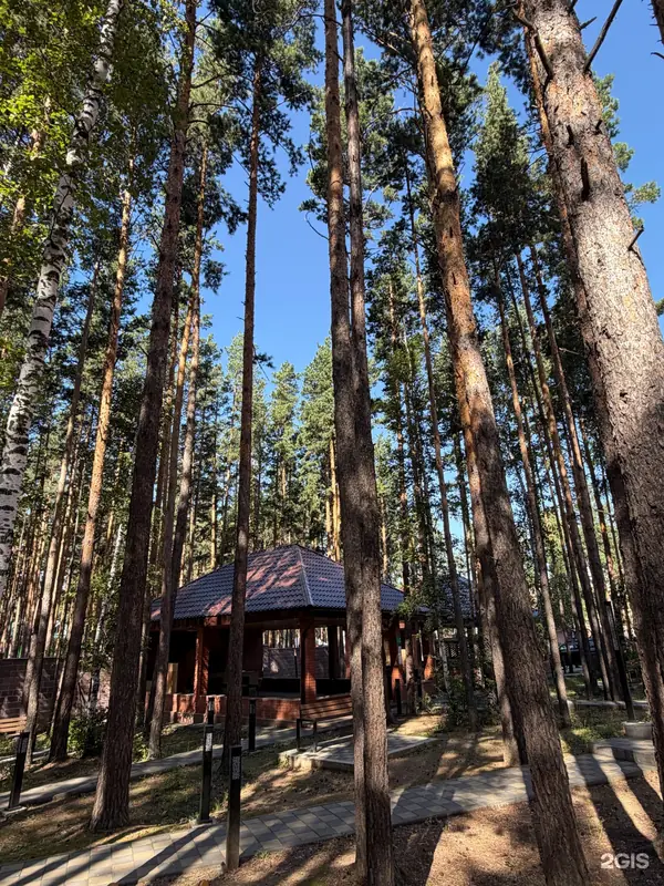 Беседка в соснах